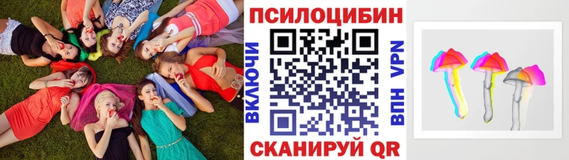 Купить закладки  Аксай  Псилоцибиновые грибы мицелий 